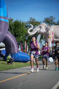 BIB: 
                            <button type="button" onclick="openModal(26542209)" class="btn btn-primary btn-sm float-right btn-popup" data-toggle="modal" data-target=".modal-high-quality">
                        <i class="fas fa-shopping-cart"></i> Add to Cart
                    </button>
                                            <button type="button" onclick="isThisMe(26542209, true)" class="btn btn-success btn-sm float-right btn-popup btn-isme hidden" data-toggle="tooltip" data-placement="bottom" title="นี่คือรูปของคุณใช่ไหม คลิกที่นี่เพื่อเอาเข้าอัลบั้ม">
                        <i class="fas fa-plus"></i> Add to album
                    </button>
                    <button type="button" onclick="isThisMe(26542209, false)" class="btn btn-warning btn-sm float-right btn-popup btn-isnotme hidden">
                        <i class="fas fa-ban"></i> Remove from album
                    </button>